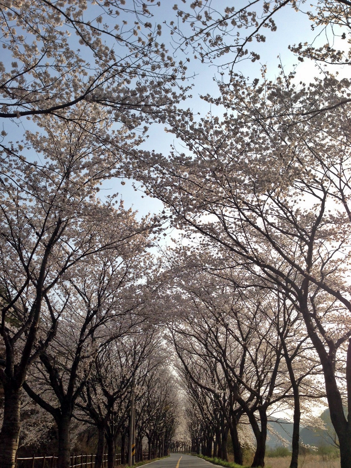 천봉 이미지